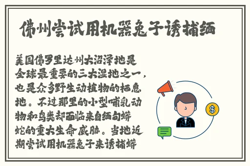 一区二区日韩国产精品