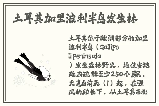东亚人情感和欧美情感区别